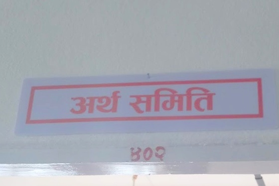 राजश्व चुहावटको मुद्धामा कम जरिवाना गर्न माग