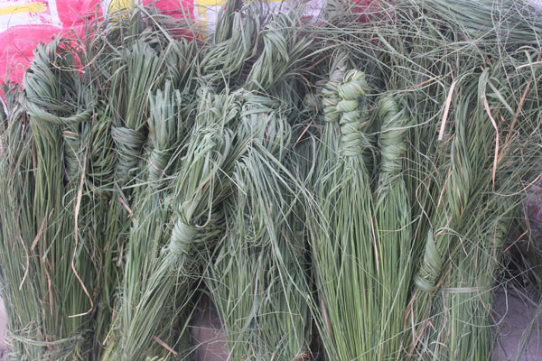 कुशे औंशी अर्थात् बुवाको मुख हेर्ने दिन
