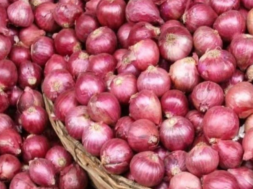 उपभोक्तालाई रुवायो प्याजले