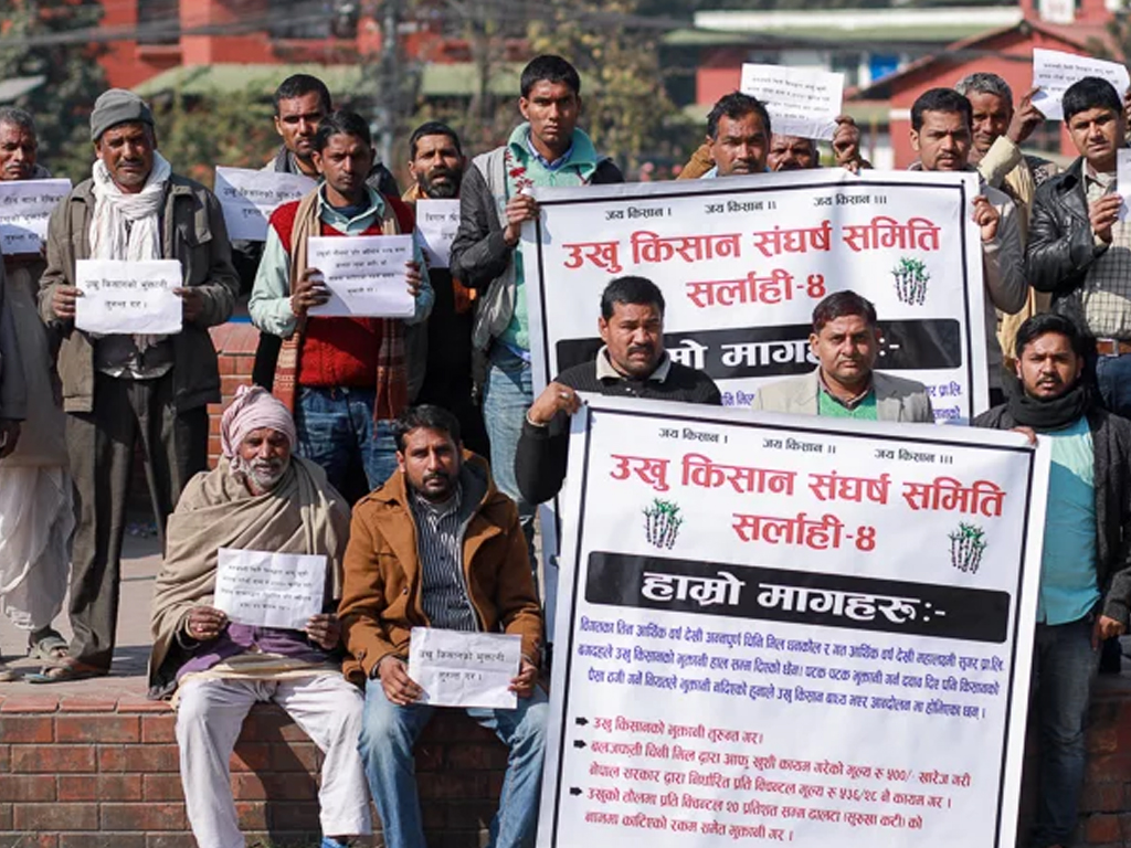 संसद बिघटन भएपछि आन्दोलनरत उखु किसानको मुद्धा ओझेलमा