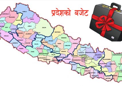 सातै प्रदेश सरकारले ल्याए बजेट, कोरोना नियन्त्रण र रोकथाममा बिशेष प्राथमिकता
