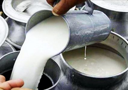दूधको मूल्य बढाउन बिचौलिया सक्रिय, किसानको नाम भजाएर निजी उद्योग १० रुपयैयाँ बढाउने दाउमा