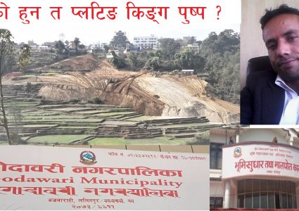प्लटिङ किङ पुष्प, जसले गोदावरी नगरपालिकादेखि मालपोत नापीसम्म हल्लाउछन !