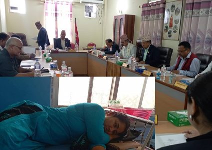 विमलाको ताण्डवबारे छानबिन गर्न बन्यो समिति,राज्यमन्त्री विमला भने अस्पताल भर्ना