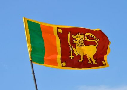 चरम संकटको सीमामा श्रीलङ्का, इन्धन अभावले विद्यालय नै बन्द