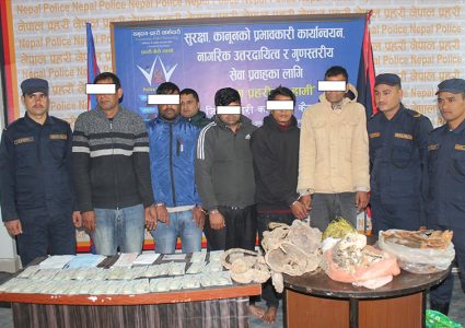 कैलालीमा नक्कली नोट र बाघको हड्डीसहित ५ जना पक्राउ