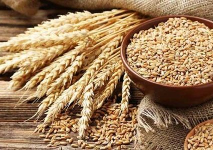 पाकिस्तानी किसानद्वारा ‘कृषि संकटकाल’ लागू गर्न आग्रह