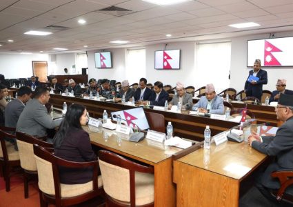 बजार अनुगमन गर्न र राजश्व छली रोक्ने प्रधानमन्त्री प्रचण्डको निर्देशन