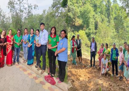 राष्ट्रिय सहकारी बैंकद्वारा विश्व वातावरण दिवसको अवसरमा वृक्षारोपण
