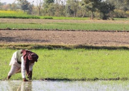 किसान सम्पर्क अभियान अन्तर्गत जम्मू—कश्मीरका १ लाख ५० हजार किसान सहभागी