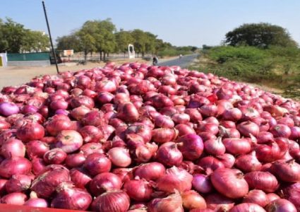 प्याजको मूल्य फेरि बढ्यो, प्रतिकेजी ७५ देखि ८० रुपैयाँसम्म