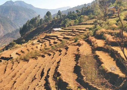देशभर कुल क्षेत्रफलमध्ये १० लाख हेक्टरभन्दा बढी जमिन खेत बाँझो !
