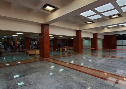 यूएई लैजान लागेको अवस्थामा अवैध मुद्रासहित सुस्मिता गोले पक्राउ