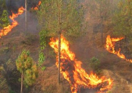 वनमा डढेलो बढ्दै, तत्काल पानी पर्ने सम्भावना कम