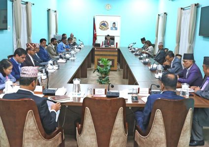 काटिएका उद्योगको लाइन जोड्न कुलमानलाई मन्त्रिपरिषदको निर्देशन