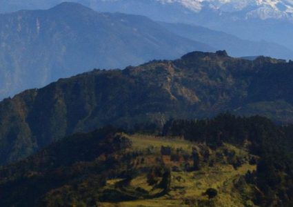 फूलचोकी जंगलमा हराएका भेटिए १३ जना