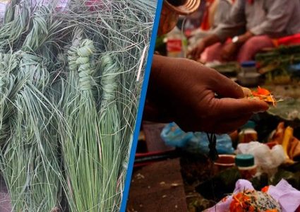 कुशे औंसीः पितृ सम्मान र कुश भित्र्याइँदै