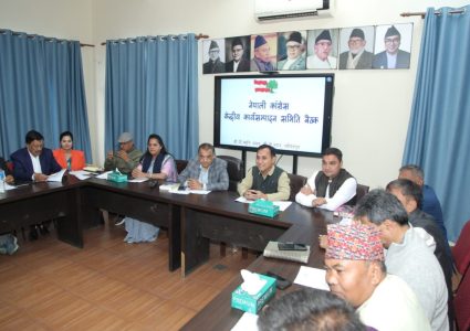 काँग्रेसले टुंग्यायो २० जना समानुपातिक सांसद (सूचीसहित)