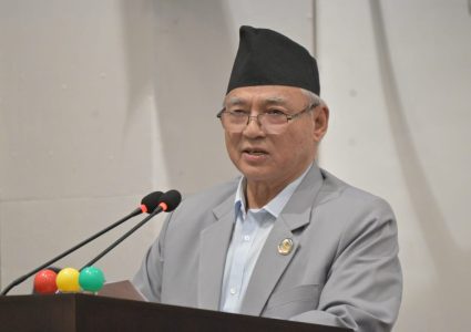 संसद, सिंहदबार जलाउनेहरुलाई महानायकको रुपमा प्रश्तुत गरिएको थापाको आरोप