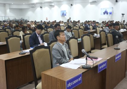 सिंहदरबारमै ब्यस्त सांसद, गाउँ जानै छाडे