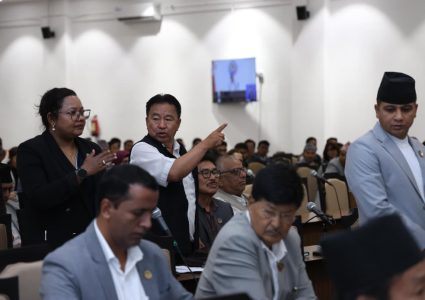 सभामुखलाई प्रयोग गरिएको शब्दले प्रतिनिधिसभा बैठक नै प्रभावित